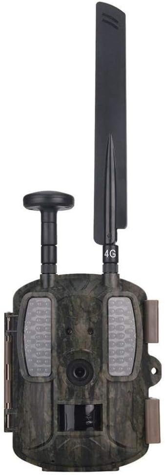 Telecamere stealth per la fauna selvatica