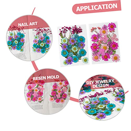 Flores Secas Artesanales 50pcs para Manualidades DIY miniatura 2