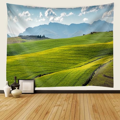 Tenture murale paysage pour masquer un mur vide et decorer le salon - 2