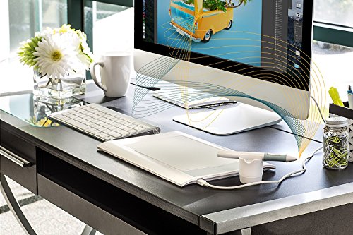 Turcom 8 x 5 Inches Graphic Drawing Capture Pen and Touch Tablet (TS-6580)