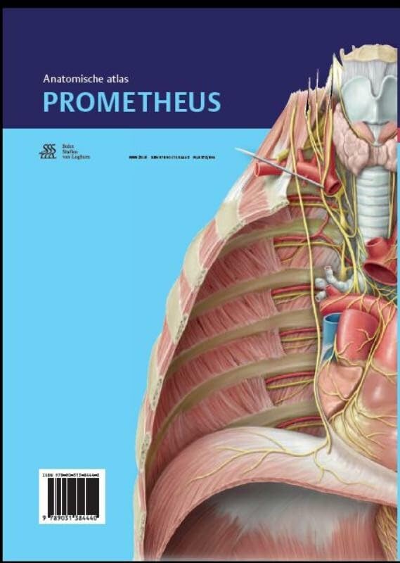 Prometheus anatomische atlas