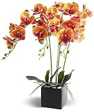 kunst orchidee lila ✔ SPEZIFIKATION:Künstliche Phalaenopsis ist sehr umweltfreundlich, knitterfrei, wasserdicht, leicht zu reinigen und ohne Wartung oder Bewässerung mit Blumentopf.