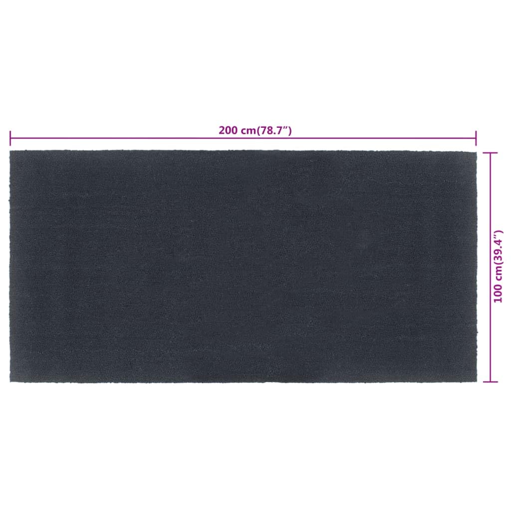 Felpudo de fibra de coco, gris oscuro, 100 x 200 cm | Base de PVC antideslizante, apta para aspiradora, interior y exterior, duradero