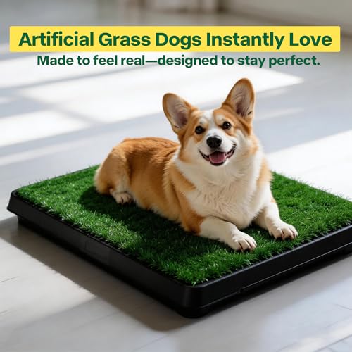 Image of Pawise Dog Grass Pad with Tray, 20x25 Inch Artificial Turf Puppy Potty Pad, Indoor Outdoor Dog Toilet with Pull-Out Drawer & Free Garbage Bags, Dogg Litter Box for Potty Training