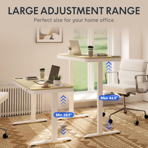 Image of FLEXISPOT Comhar 48 inch Electric Standing Desk with Storage, Built-in Drawer & USB Charging Ports, Height Adjustable Sit Stand Computer Desk, Quick Assembly, Child Lock, Light Maple Finish /White Legs