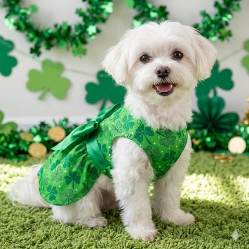 Robe de la Saint-Patrick pour chien chat jupe mignonne petits chiens - 6