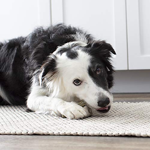 Milk-Bone Fresh Breath Brushing Chews, 9 Small/ Medium Daily Dental Dog Treats (Pack of 5) - Image 6