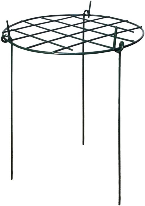 Round Grow Through Plant Support Pack of 3 Available in 3 sizes