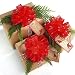 Organza Pull Bow Value Pack - 24 red bows
