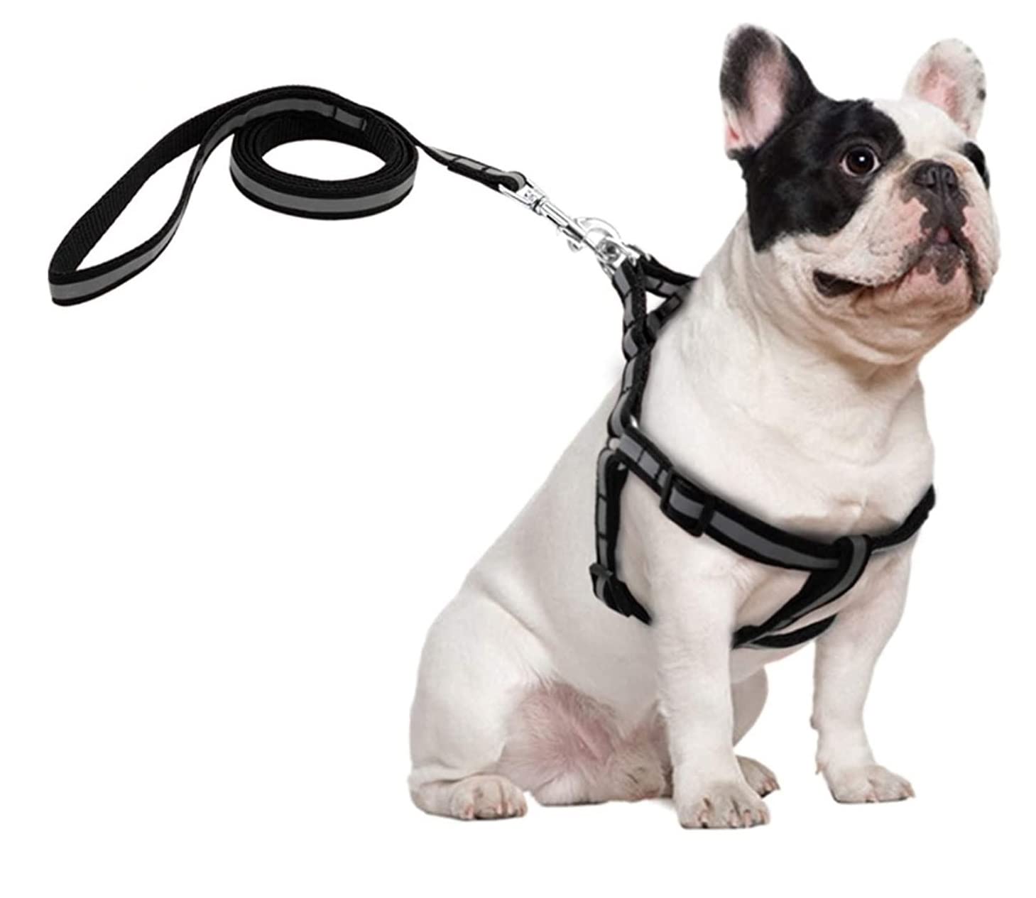 RvPaws Small Dogs Nylon Reflective Dog Leash Lead Set Adjustable, Nylon 15 MM Puppy Body Belt Set Reflective for Small Breed Pets (Black)-picture-10