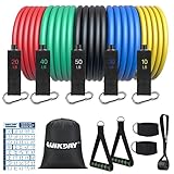 WIKDAY Resistance Bands for Working Out Exercise Bands Workout Bands Set with Handles, Door Anchor,