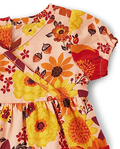 Gymboree Baby-Girls Short Sleeve Dressy Special Occasion Dresses with Diaper Cover2