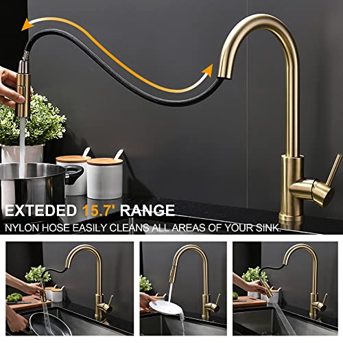 Tohlar Niederdruck Armatur Küche Gold, Niederdruck Wasserhahn Küche mit Ausziehbare Brause, Mischbatterien für Küche Moderner Edelstahl Spültischarmatur
