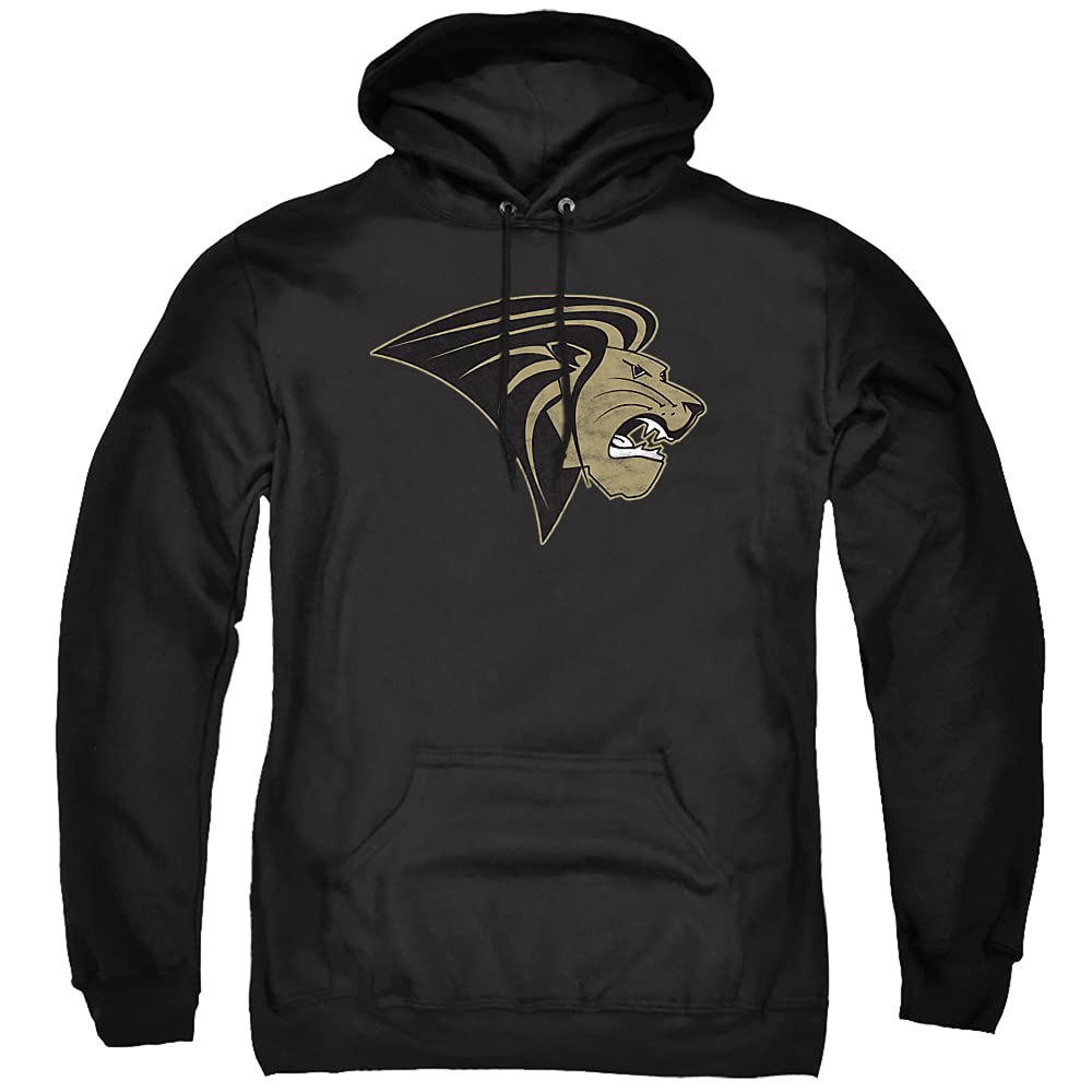 LOGOVISION Official Collegiate Distressed Primary Logo Adult Pullover Hoodie Collection — view 442