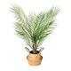 Kunstpflanze Kazeila Areca Palme 80 cm für Innenräume