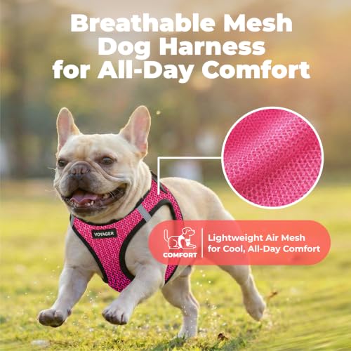Image of Voyager Step-in Air Dog Vest Harness - Fuchsia 2-Tone, X-Large