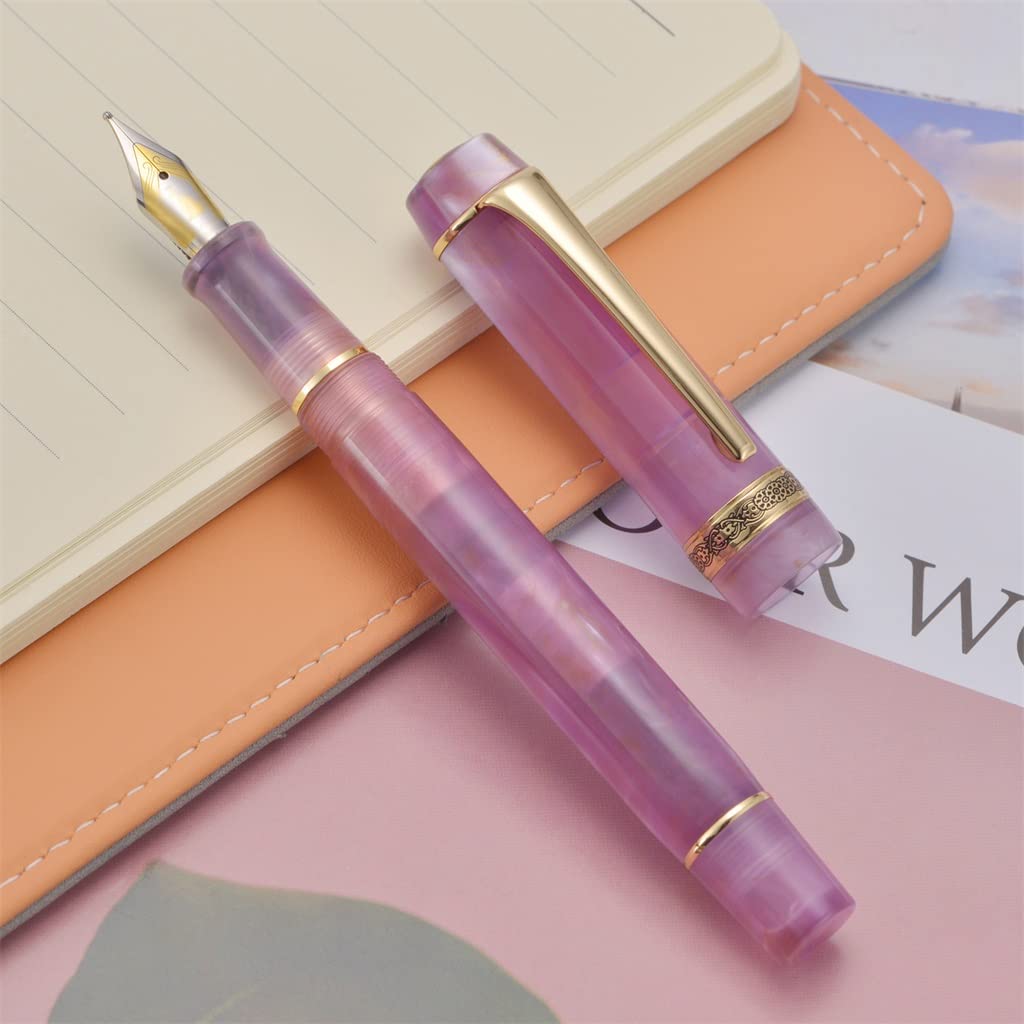 Stylo plume, belle lumière F/plume encre d'écriture bureau école