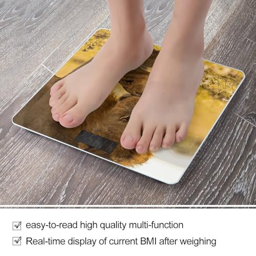 Báscula digital corporal precisa con pantalla LCD grande miniatura 5