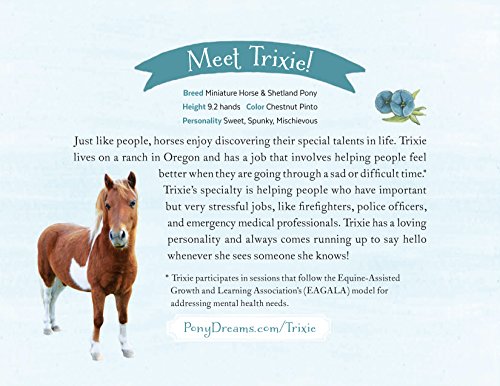 The Smallest Horse ~ A Children's Picture Book About Discovering Your Own Special Talents - Image 12