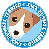 見つめる ジャックラッセル テリア スムース 犬 ステッカー ブルーバック 丸型 Lサイズ MK-2