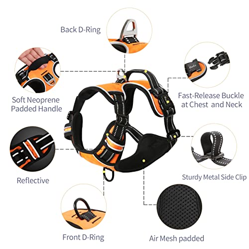 Image of HEELE Dog Harness, No Pull Adjustable Padded Reflective Harness for Small Medium Large Dogs with Handle for Walking Training, Orange, M