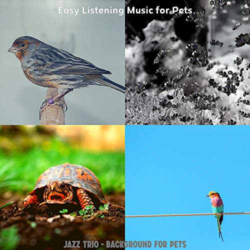 Fabulous Moods for Pet Birds