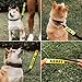 Tuff Pupper Waterproof Leash Sleeve | Fits Any Standard Size 1 Inch Wide Leash | Dual Sided Message | Durable Neoprene & Silicone | Odor & Stink Proof | Easy Secure On & Off (1 Pack, Adopt Me)