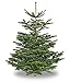 Produktbild Premium Nordmanntanne 160-180 cm echter Weihnachtsbaum Tannenbaum Christbaum