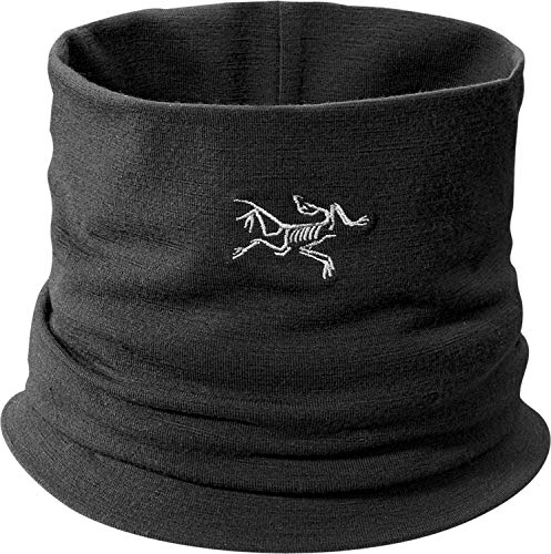 Arcteryx, Rho LTW Neck Gaiter, Black, UNI : Amazon.pl: Moda