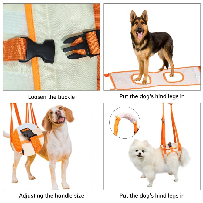 Image of Paralyzed Dog Harness with Hind Leg Support - Small Sized Dog Sling, Adjustable Lift Harness, Hip Dysplasia Brace & ACL Tear Aid for Elderly Dogs - Alternative to Dog Wheelchair