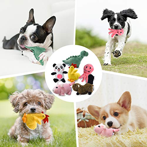 LEGEND SANDY Squeaky Plush Dog Toy Pack for Puppy, Small Stuffed Puppy Chew Toys 6 Dog Toys Bulk with Squeakers, Cute… - Image 5