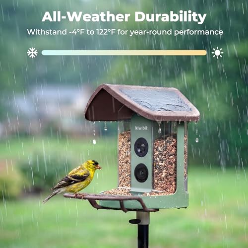Image of Kiwibit Solar Smart Bird Feeder with Camera, 4K Live Video, No Subscription