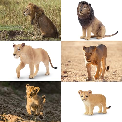 TOYMANY 6 Stück Löwe Tiere-Figuren mit Löwenbabys,Realistische Löwen Spielzeug Plastiktiere Zoo Wald Tierfiguren Dschungeltierfiguren, Lernspielzeug-Kuchenaufsatz, zum Spielen oder als Deko für Kinder
