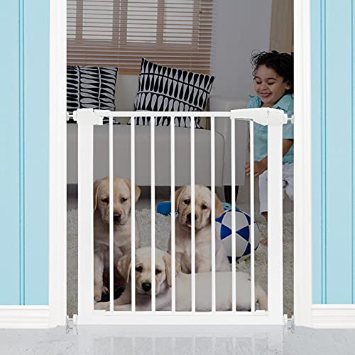 ybgpxr[T[N SQ[g pSQ[g ybgpQ[g ZLeBKi Œ{[h I[gN[Y GNXgChKi肷q/110-117Cm