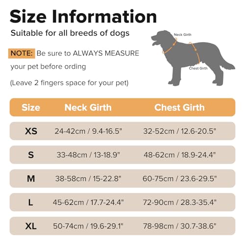 MASBRILL Hundegeschirr Leuchtend, LED Hundegeschirr Aufladbar & Einstellbar für Welpen Kleiner Mittlerer Große Hund, 7-Farben ändern 8-Beleuchtungsmodi Atmungsaktiv Leucht Geschirr (Schwarz M)