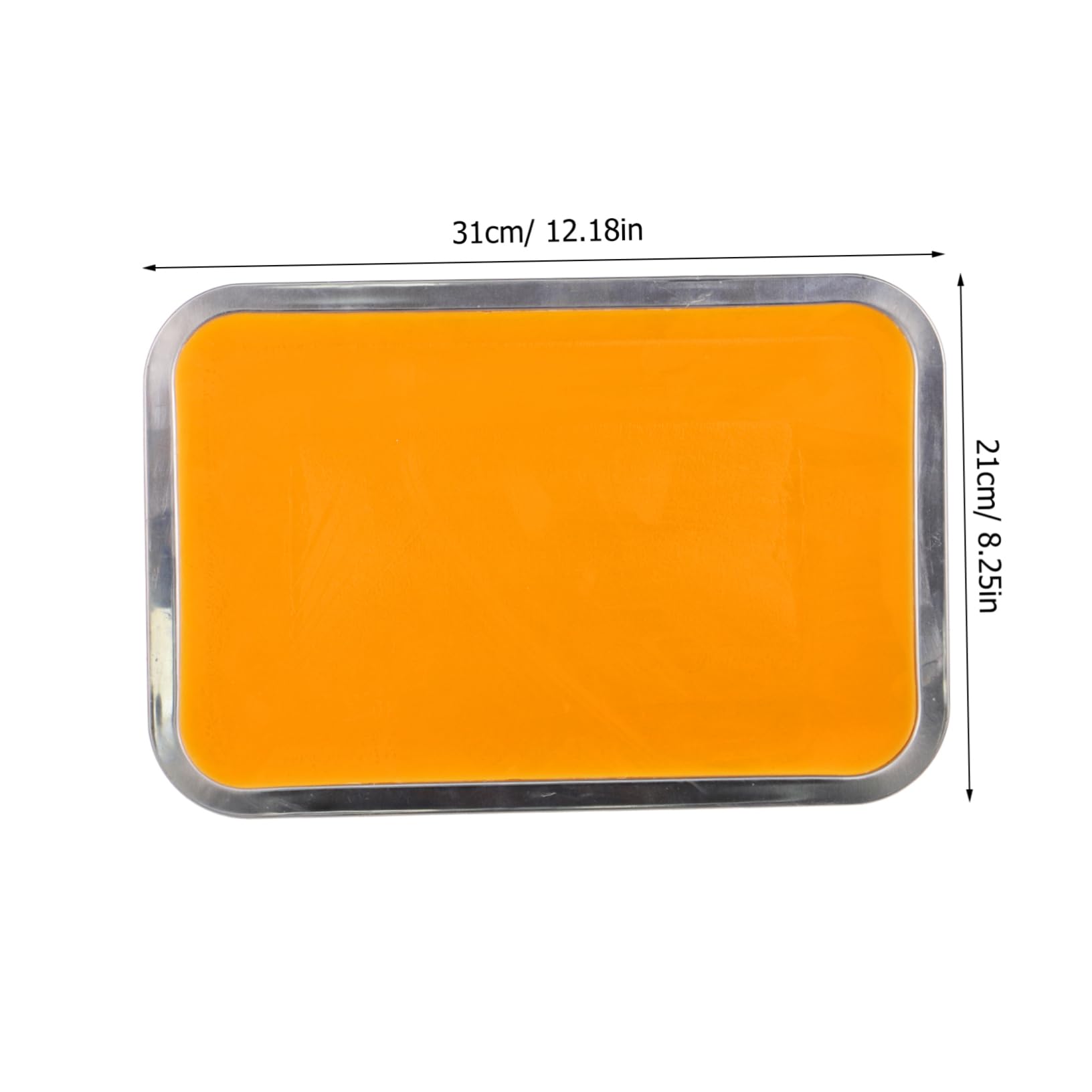 NAMOARLY 21cm x 31cm A4 Dissecting Tray Stainless Steel Wax-Lined Tray Metal Dissection Pan Student Use