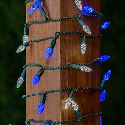 Novelty Lights 70 Light C6 Led Christmas Mini Light Set, Commercial Grade Outdoor String Lights, Blue/Pure White, Green Wire, 24 Feet #TOP6