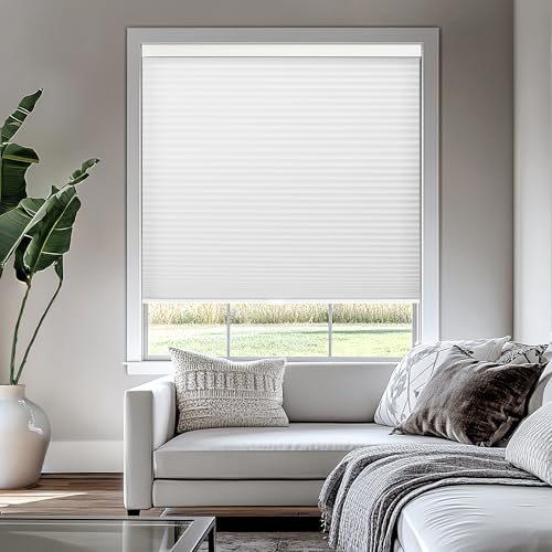 CHICOLOGY Cellular Shades , Window Blinds Cordless...