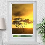 Klemm-Rollo in 2 Längen und bis zu 7 Breiten - Bedruckt mit Motiv Afrika Giraffen - Foto-Rollo mit Seitenzug - Sichtschutz Aber lichtdurchlässig - Klemmen fix ohne Bohren