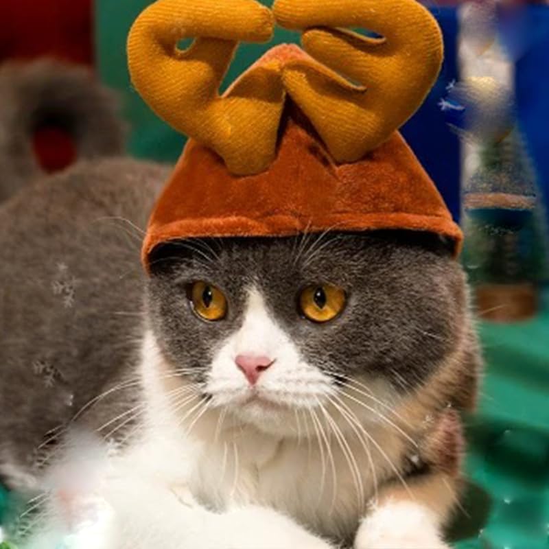 Sombrero con astas de reno para gato Navidad pequeño miniatura 4
