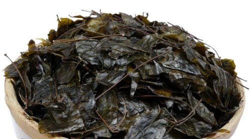 Miniatura 2 de Pure Wild Ilex Pubescens (maodongqing) Hairy Holly Bitter Sweet Leaf Beauty Tea