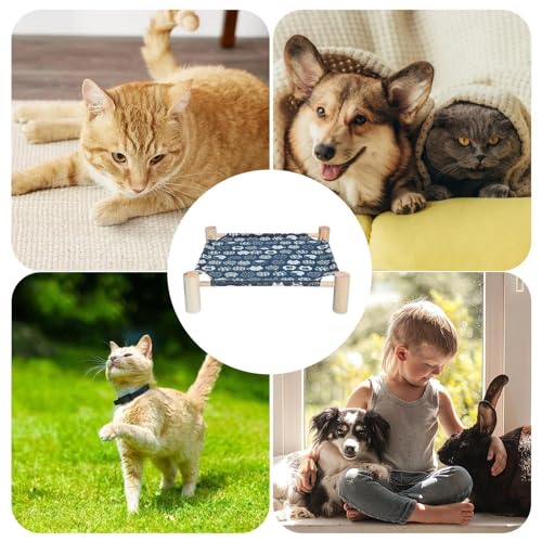 Lit surélevé pour animaux évite le sol froid lit pour chat en bois