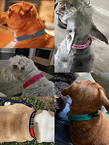 Flowertown Personalized Dog Collar With Embroidered Name And Phone Number, Custom Dog Id Collars 4 Adjustable Sizes With Safety Release Buckle And D-Ring (Normal), Blue #TOP6