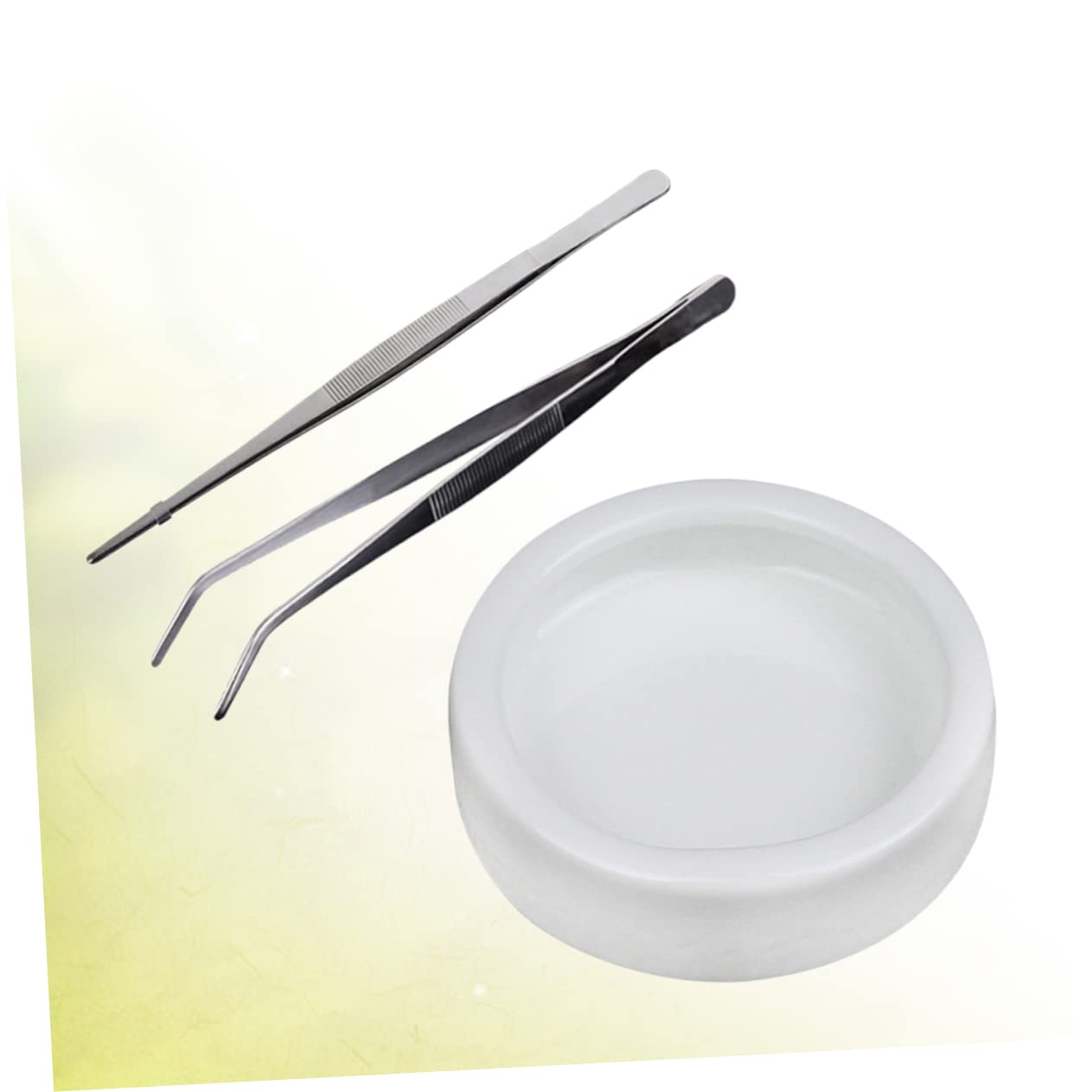 Ciotola per l'acqua per rettili Ciotola for rettili, 9 pezzi di ciotola in ceramica for animali domestici, ciotola for acqua, pinzette for rettili, pinze for l'alimentazione, cibo for grilli, pasto fo