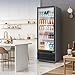Tylza Commercial Refrigerator with Glass Door Display Beverage Fridge, 350L Upright Beverage Cooler Merchandiser with Rebound Door, Fast Cooling, Low Noise, Black
