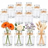 12 Stück Kleine Vasen, SUKIYPO 125 ml Glasvasen für Tischdeko Hochzeitsdeko | Vase Decor, Kleine Vasen für Tischdeko, Mini Vasen Set für Party Deko, Zuhause, Wohnzimmer, Schlafzimmer, Transparente