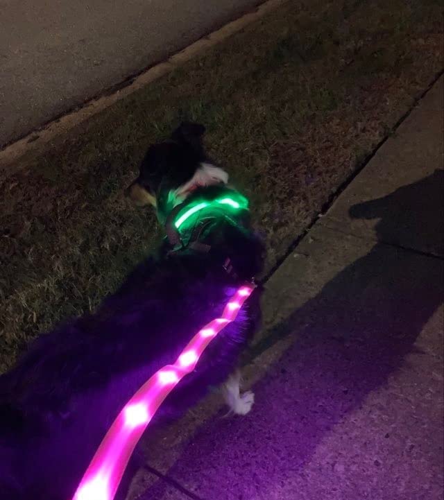 Very stiff, but GREAT for night visibility, strong, holds charge well, perfect length