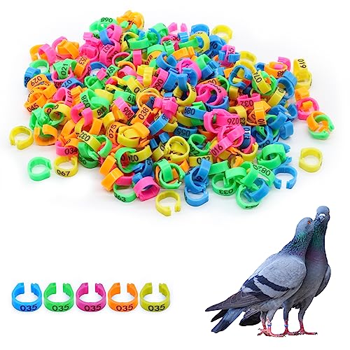 Hitefu 300 peças de anéis de perna de pássaro, faixas de perna de frango numeradas multicoloridas de