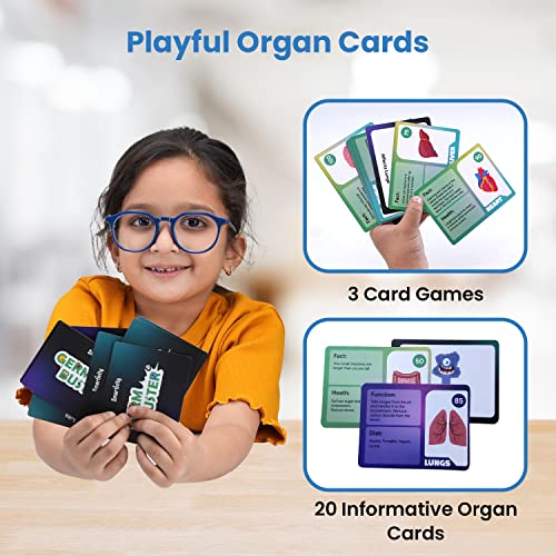 Smartivity-Human-Body-STEM-DIY-Fun-Toys-for-Kids-6-to-12-20-Cards-Learn-About-Organs-Functions-Health-Diet-Best-Gift-Toy-for-Boys-Girls-Age-6-8-10-12-Science-Toy-Educational-Based-Activity-Game