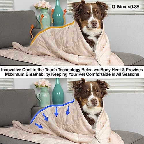 Petfusion Premium Cat And Dog Cooling Blanket. Lightweight Pet Blanket | Machine Washable Pet Blanket | Multiple Sizes: For Pets Small To Extra-Large | Multiple Colors: Grey Blanket And Brown Blanket #TOP3
